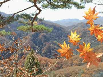 “楠溪秋韵乡村休闲游”入选全国精品旅游线路